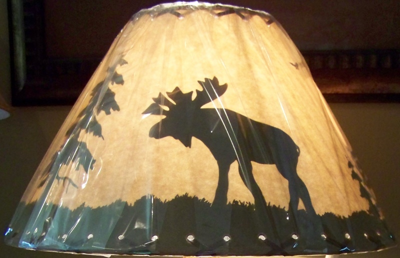 Discounted Lamp Shades on Opposite Side Of Lamp Shade
