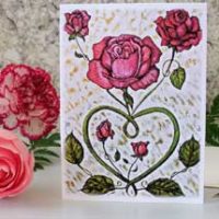 Introducing Fine Art for Small Spaces Greeting Cards