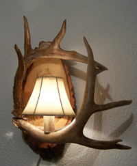 Two Antler Wall Sconce