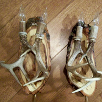 Pair of Whitetail Wall Sconces with 4 Whitetail Antler Sheds and 4 Lights