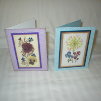Greeting Cards with Michigan Flowers