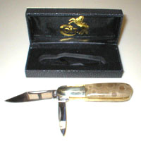 Petoskey Stone Pocket Knife