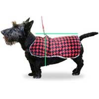 How To Measure for Harness Coat
