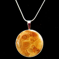 Petoskey Stone Coin Necklace