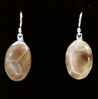 Petoskey Stone Earrings