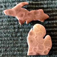 Michigan’s Upper Peninsula & Lower Peninsula Petoskey Stone Magnets