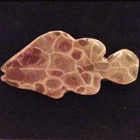 Petoskey Stone Fish Magnet