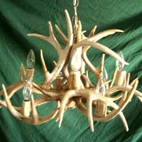 Whitetail Chandelier with 12 Antler Sheds and 8 Lights